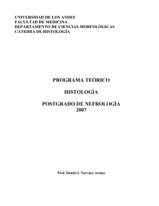 programa teorico - Universidad de Los Andes