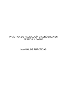 práctica de radiología diagnóstica en perros y gatos - FMVZ-UNAM