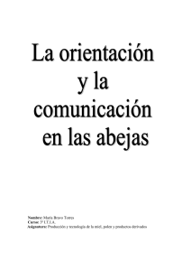 comunicación y orientación de la abeja