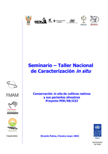 in situ  Seminario – Taller Nacional de Caracterización