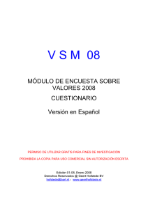 VSM 08