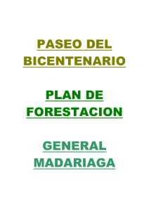 Plantacion con arboles nativos - Municipalidad de General Madariaga