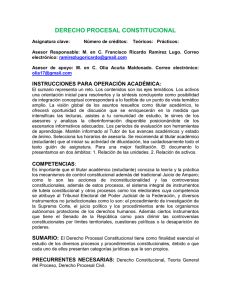 XI DERECHO PROCESAL CONSTITUCIONAL(RICARDO)