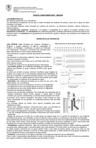 Biomoléculas - Instituto Inmaculada Concepción