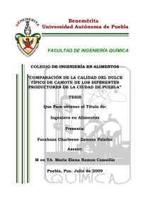 Benemérita Universidad Autónoma de Puebla  FACULTAD DE INGENIERÍA QUÍMICA