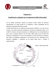 Genética molecular - Universidad Nacional de Quilmes