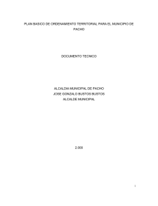 plan basico de ordenamiento territorial para el municipio de pacho