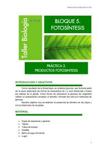 4_ESO_AMPL-Practicas_3_files/FOTOSINTESIS 3