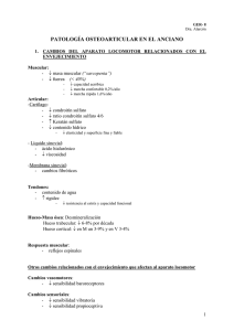 Patología osteoarticular: Fractura de cadera