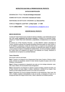 INSTRUCTIVO GUIA PARA LA PRESENTACION DEL PROYECTO: DATOS DE IDENTIFICACIÓN