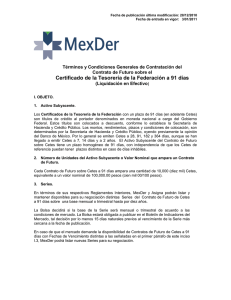 CE91 - Mercado Mexicano de Derivados