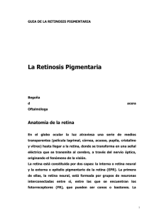 Guía de la Retinosis Pigmentaria (en formato Doc)