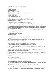 DISECCIÓN DE MUSLO Y CADERA DE POLLO