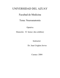 UNIVERSIDAD DEL AZUAY  Facultad de Medicina Tema: Neuroanatomía