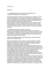 CAPITULO 3  MIOLOGÍA 3.1. GENERALIDADES DE LA MIOLOGÍA. FISIOLOGÍA DE LA