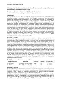 PRUEBA SIEMBRA INTA CASTELAR  Perticari, A. , Piccinetti, C. F.