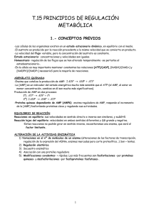 T.15 PRINCIPIOS DE REGULACIÓN METABÓLICA 1