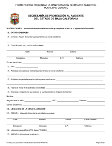 formato para presentar el informe preventivo