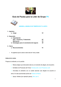 Guía de Pautas para la Líder de Grupo P4 AGENDA y MANEJO DE