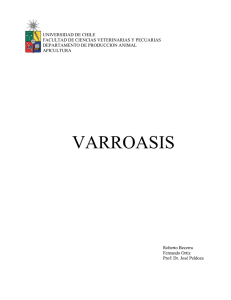 Varroasis 2002