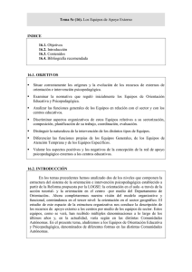 Tema 5c- Los Equipos de Apoyo Externos