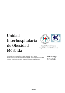 Metolodogía de trabajo adoptada