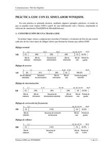 PRÁCTICA GSM CON EL SIMULADOR WINIQSIM. .