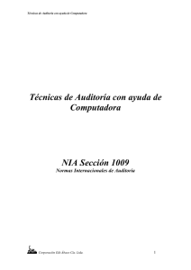 NIA: Sección 1009: TECNICAS DE AUDITORIA CON