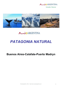 patagonia natural