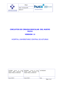 CIRCUITOS DE CIRUGIA VASCULAR  DEL NUEVO HUCA VERSION 1.0