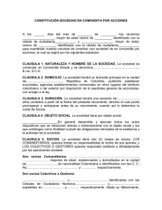 constitución sociedad en comandita por acciones