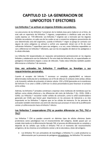 CAPITULO 12- LA GENERACION DE LINFOCITOS T EFECTORES