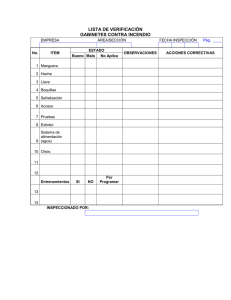 guia para la realizacion de inspecciones de seguridad
