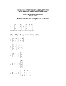 Multiplicacion de Matrices: Problemas de Practica
