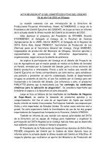 ACTA REUNION Nº 31 DEL COMITÉ EJECUTIVO DEL CODEAPI
