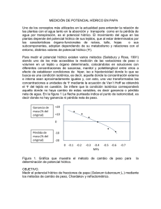 MEDICIÓN DE POTENCIAL HÍDRICO EN PAPA Uno de los