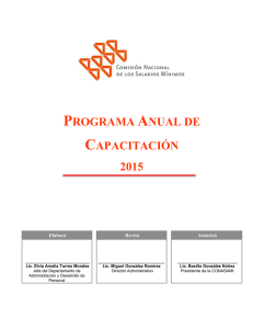 programa anual de - Comisión Nacional de los Salarios Mínimos