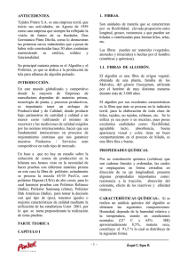 INFORME TECNICO ESPAÑOL