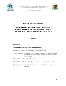 Informes de actividades de la Secretaría Ejecutiva - 2011