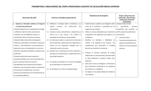parametros e indicadores del perfil profesional docente de