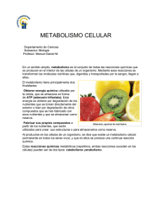 MetabolismoCelular