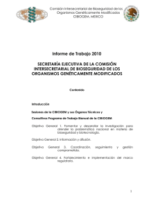Informes de actividades de la Secretaría Ejecutiva - 2010