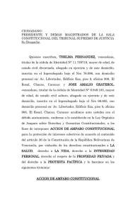 CIUDADANO: PRESIDENTE  Y  DEMAS  MAGISTRADOS  DE ... CONSTITUCIONAL DEL TRIBUNAL SUPREMO DE JUSTICIA