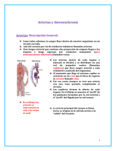 Arterias y Ateroesclerosis