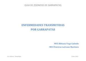 zoonosis transmitidas por garrapatas