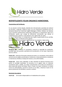 fertilizante_hidroverde