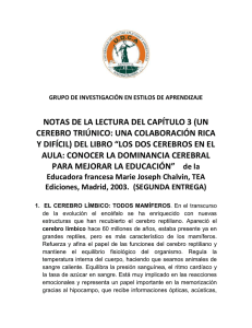 NOTAS DE LA LECTURA DEL CAPÍTULO 3 (UN