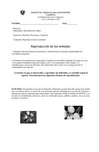 Reproducción - Instituto Inmaculada Concepción Valdivia