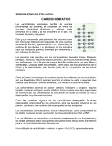 carbohidratos - Webquest Creator 2