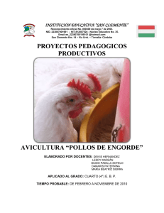 proyectos pedagogicos productivos avicultura “pollos de engorde”